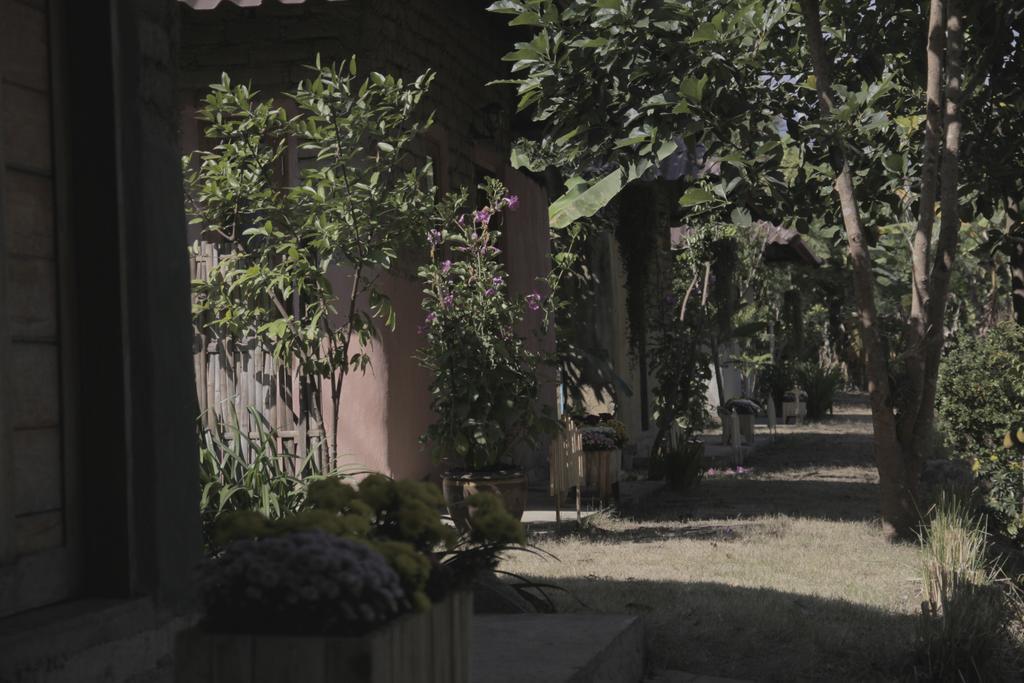 Monkey House Hotel Pai Exterior photo